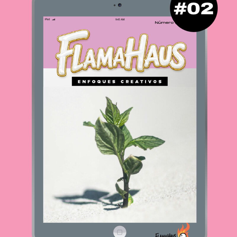 Revista FlamaHaus #02