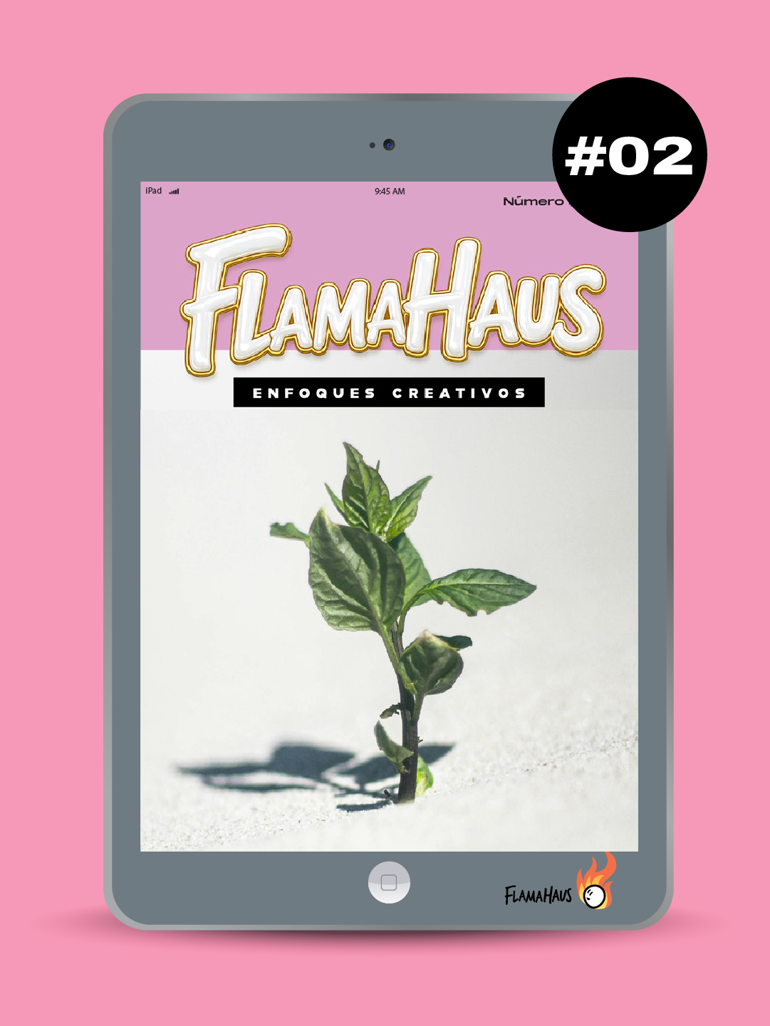Revista FlamaHaus #02